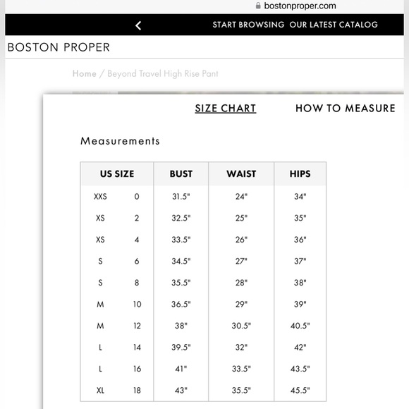 Boston Proper Blouson Long Sleeve Top - Picture 6 of 6